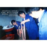 肝素钠加工项目——助力农村创业的投资良机