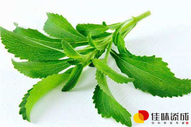 济南果酒定制饮料配方研发与技术转让方案